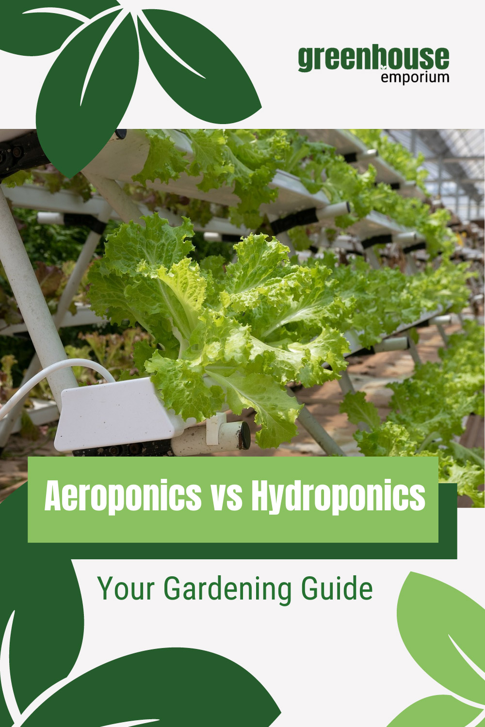 Aeroponics Vs Hydroponics Which Is The Better Method