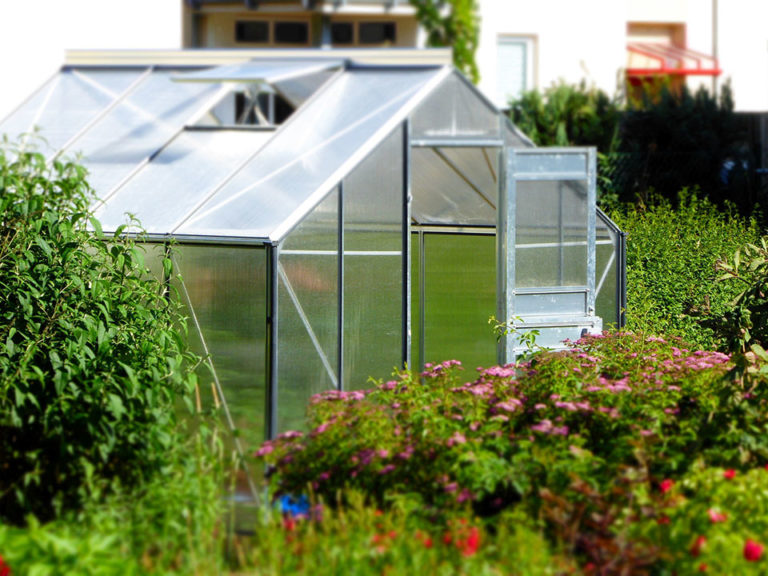 Greenhouse Gardening for Beginners - Where to Start?