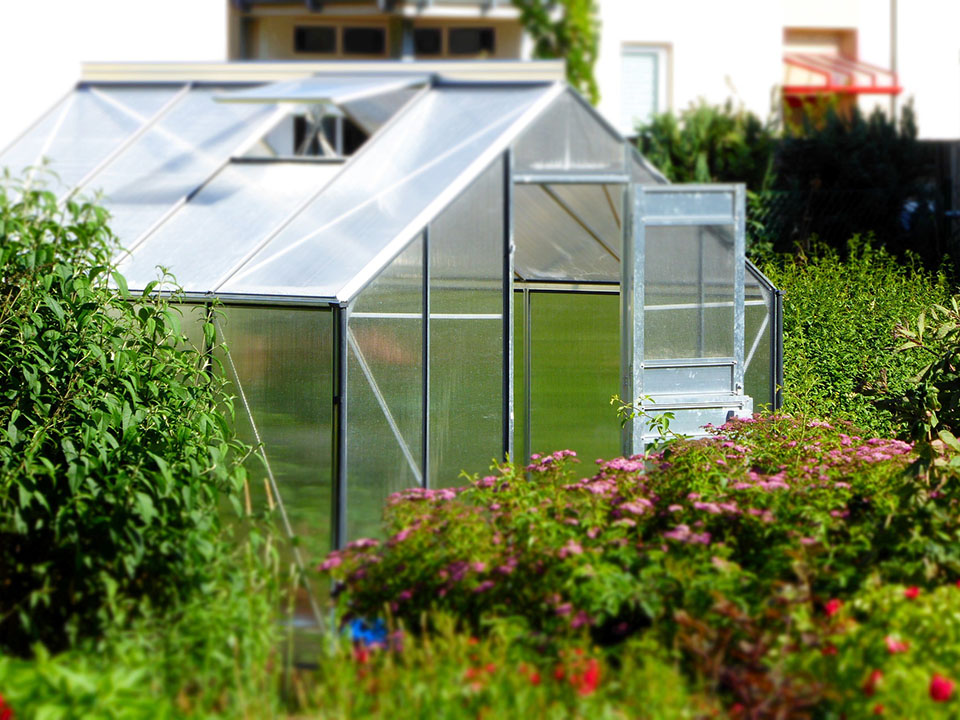 Buy Greenhouse Supplies After Knowing What You Want to Grow