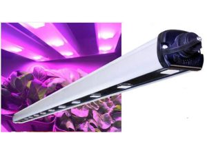 Long grow light for greenhouse
