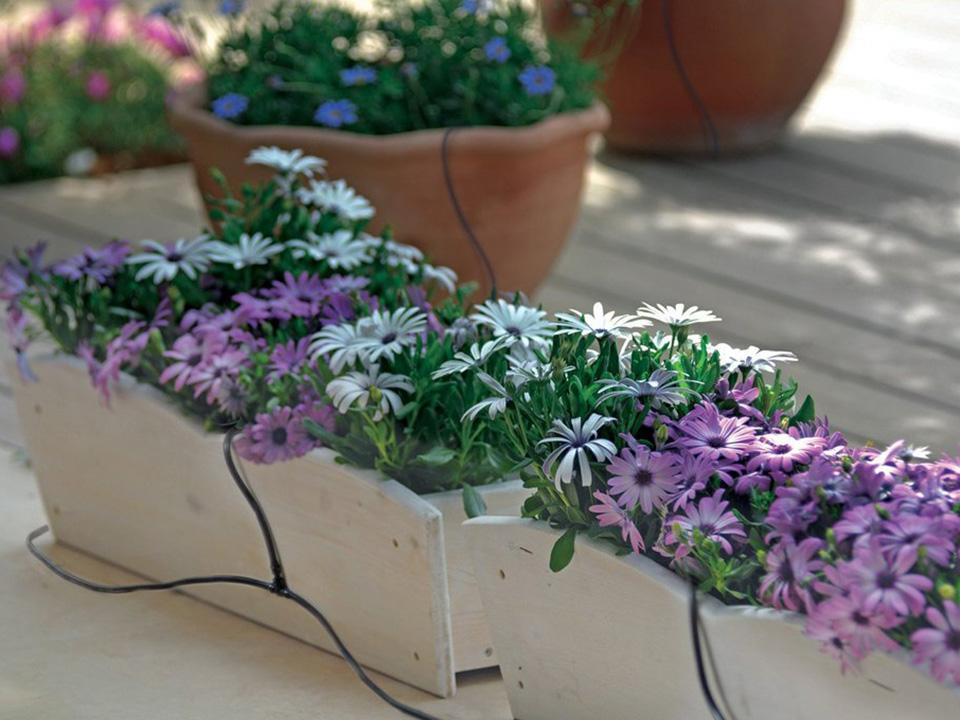 Soil irrigation system for planters in greenhouse