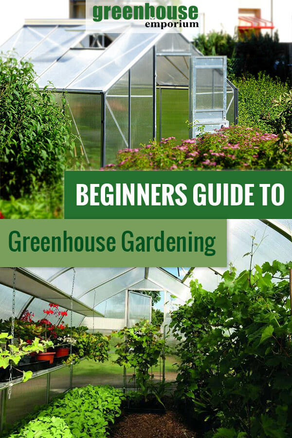 Greenhouse Supply List - Important Items For Greenhouse Gardening