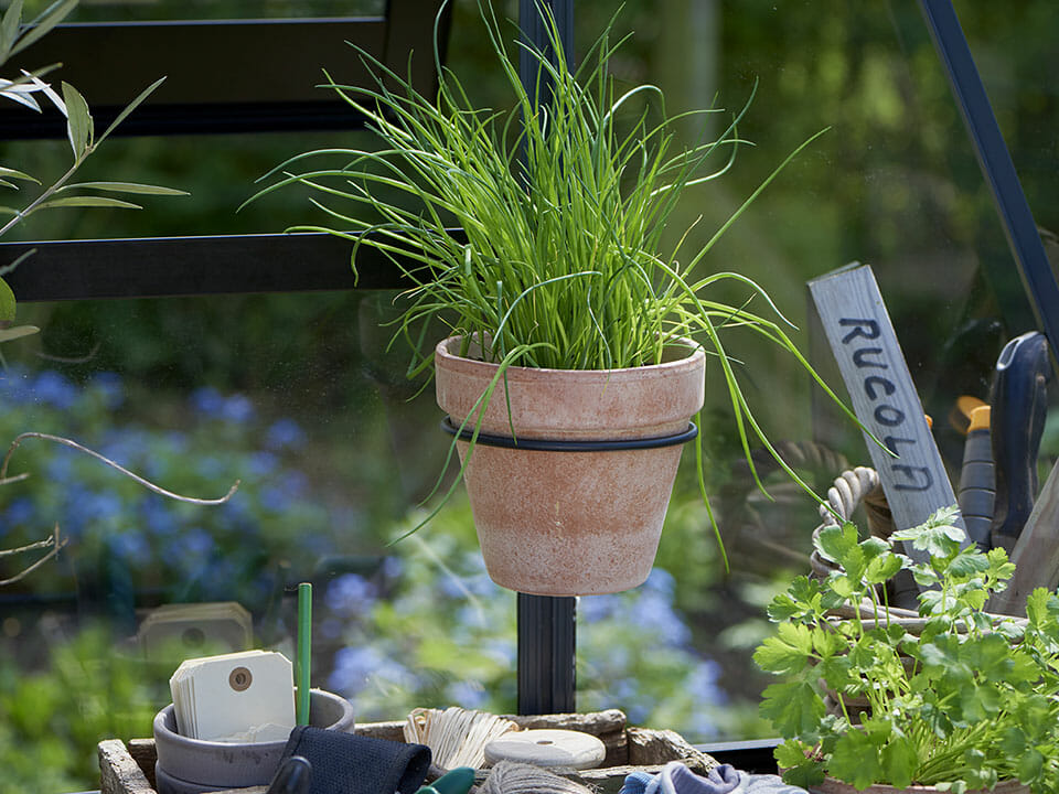 Juliana pot holder for greenhouses