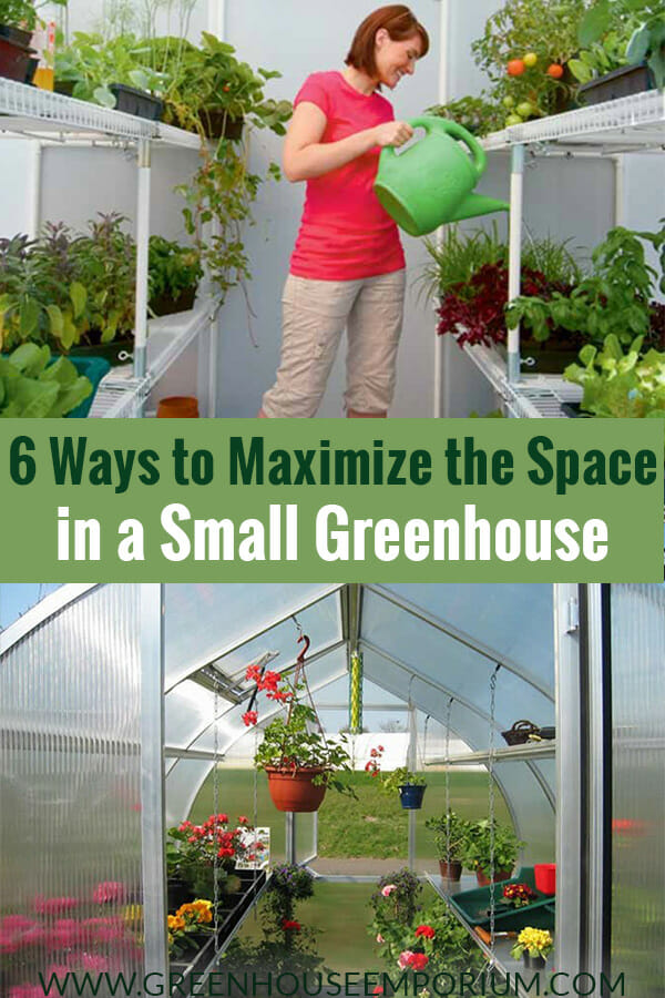 Interiors of greenhouses with shelves and the text: 6 Ways to Maximize the Space in a Small Greenhouse