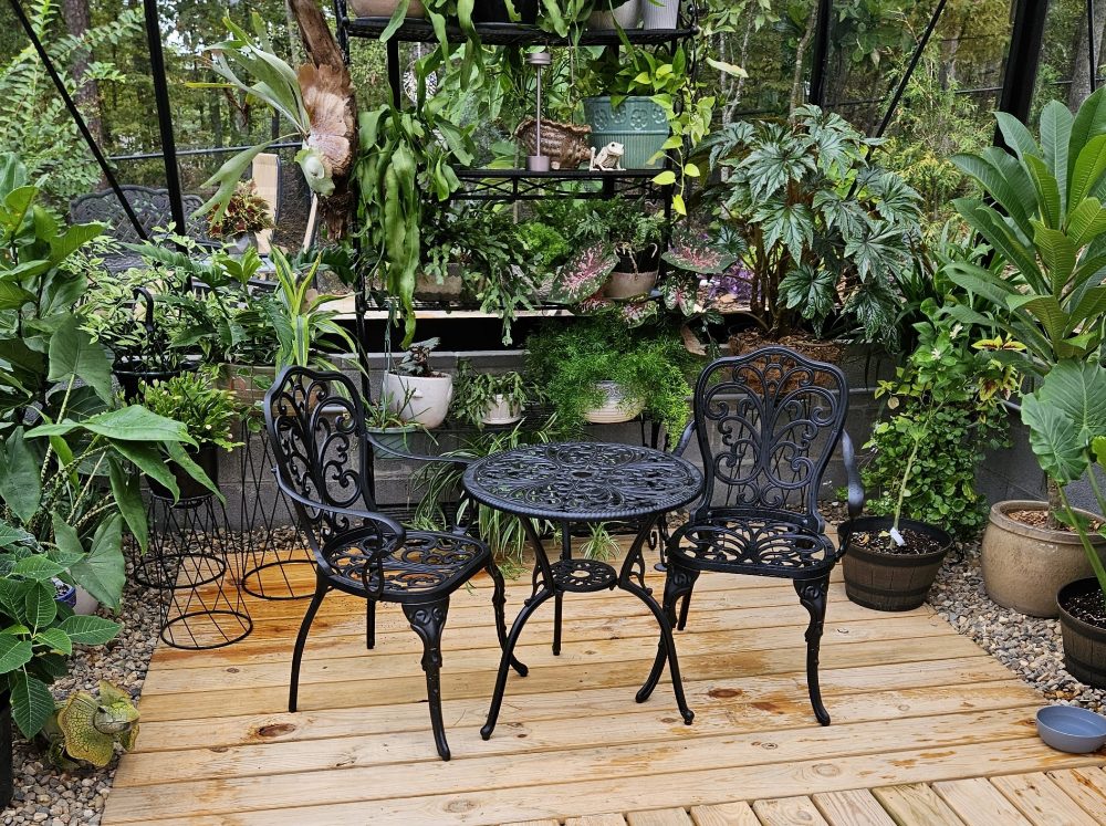 A lush greenhouse interior with a small wrought iron black seat set and table. 