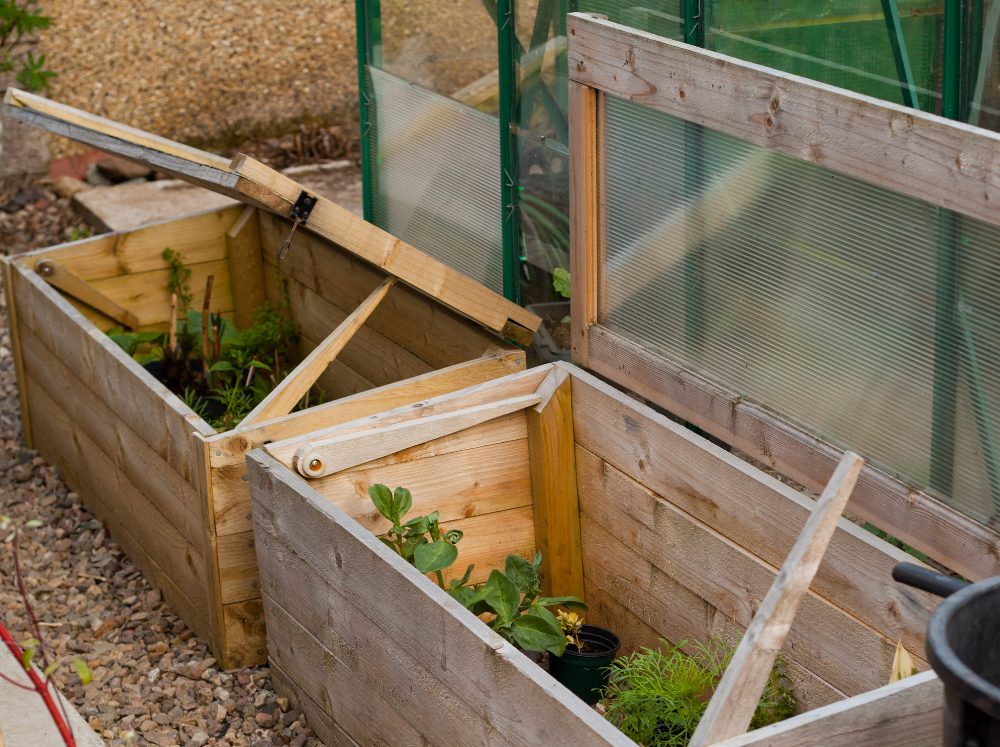 Wooden cold-frame greenhouses propped open filled with plants. 
