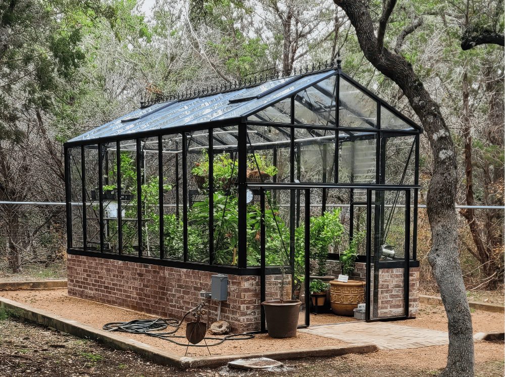 Exterior of glass greenhouse with brick stem wall placed in the back corner of a backyard.