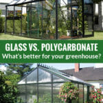 Above is a glass greenhouse with plants inside. Below is a Polycarbonate greenhouse surrounded with plants. The text in the middle says Glass vs Polycarbonate What's better for your Greenhouse?