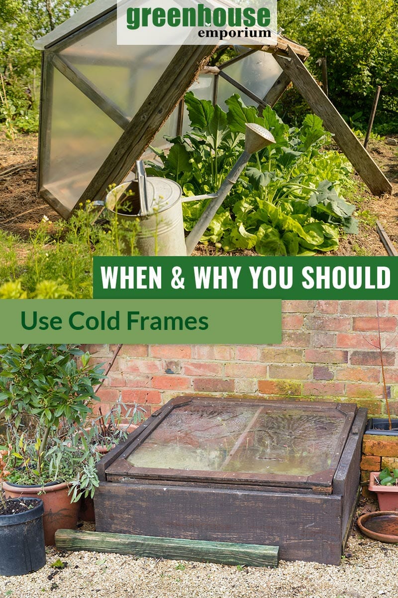 Propped up cold frame and simple wooden cold frame with the text in the middle: When and Why you should use cold frames