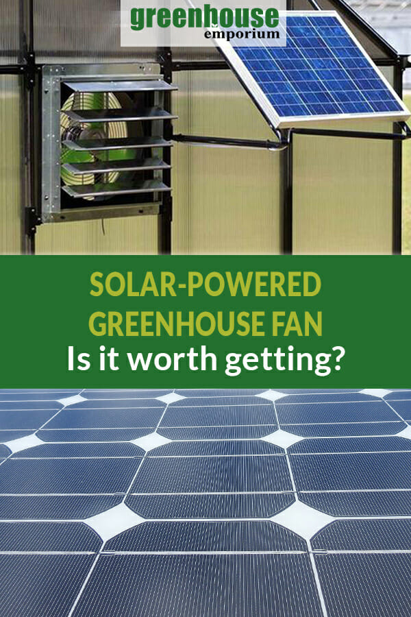 Greenhouse with a vent and solar panel and a close-up of a solar panel with the text in the middle: Solar-Powered Greenhouse Fan - Is it worth getting?