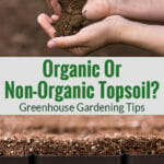 Organic topsoil in the hands and in seed trays with the text Organic or non-organic topsoil - Greenhouse Gardening Tips