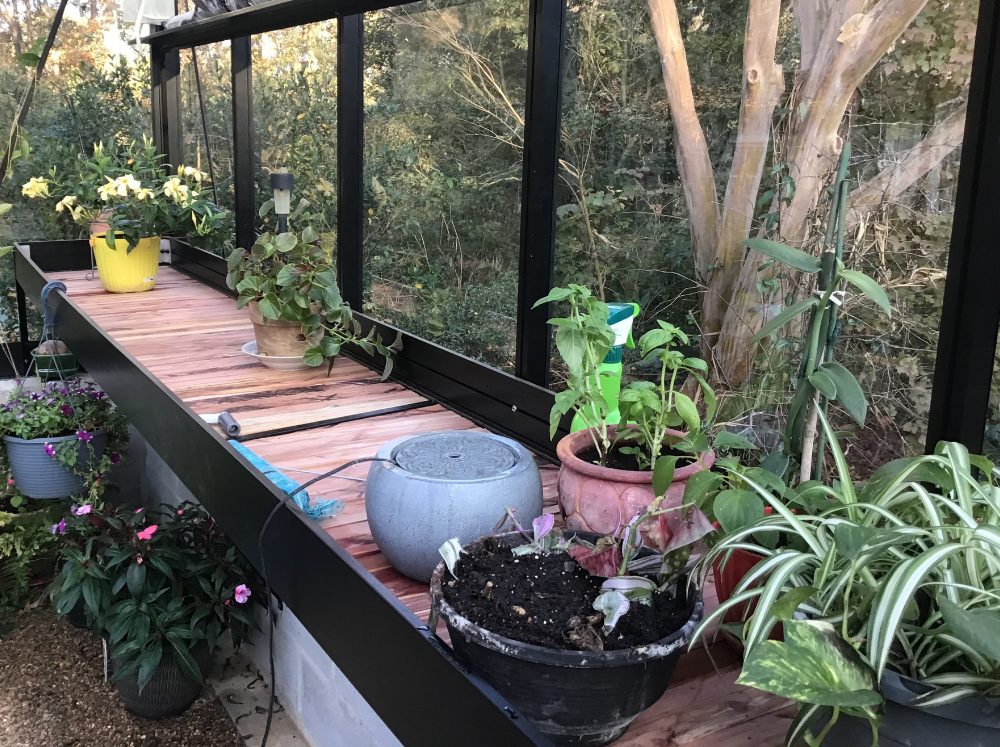 Close up of slatted wooden shelves in a greenhouse with a few potted plants across it.