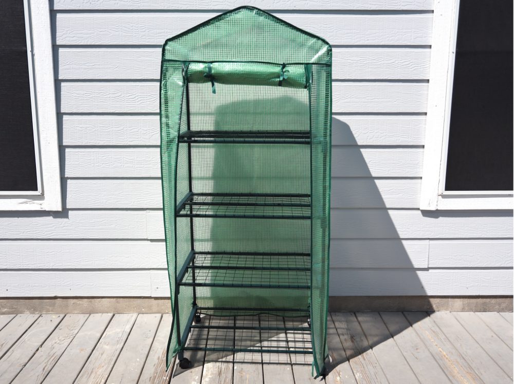 Green portable greenhouse with adjustable shelves on home deck.