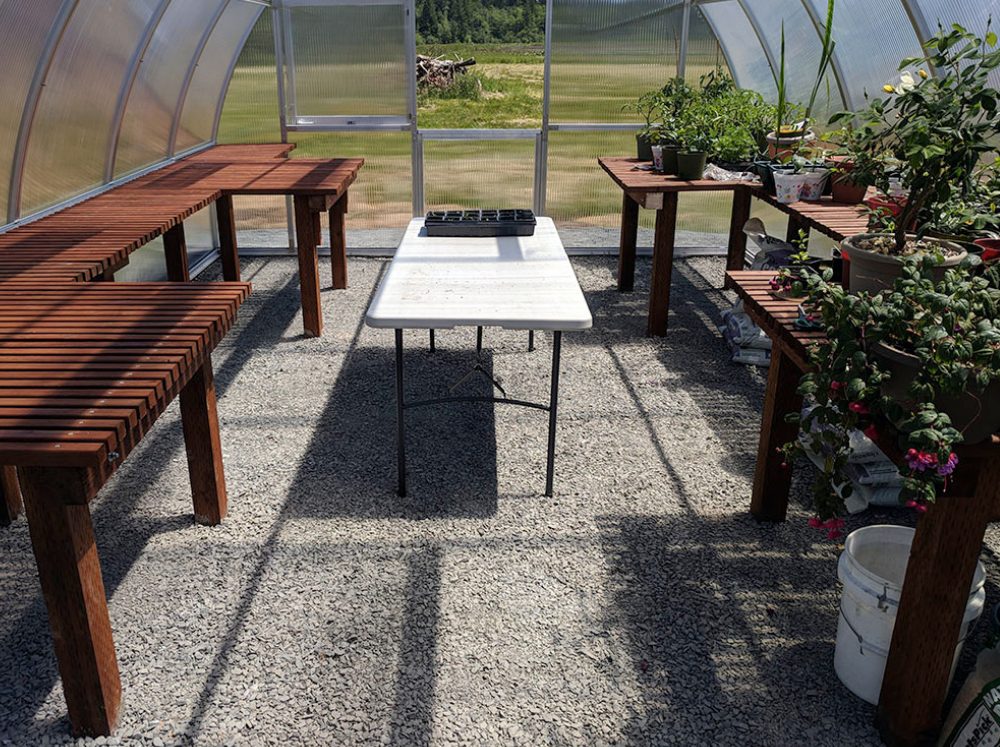 Empty teired shelves to the left, an empty table in the center and the same teired shelfing from the left on the right but covered with potted plants. It is all on the inside of a polycarbonate greenhouse with gravel floors