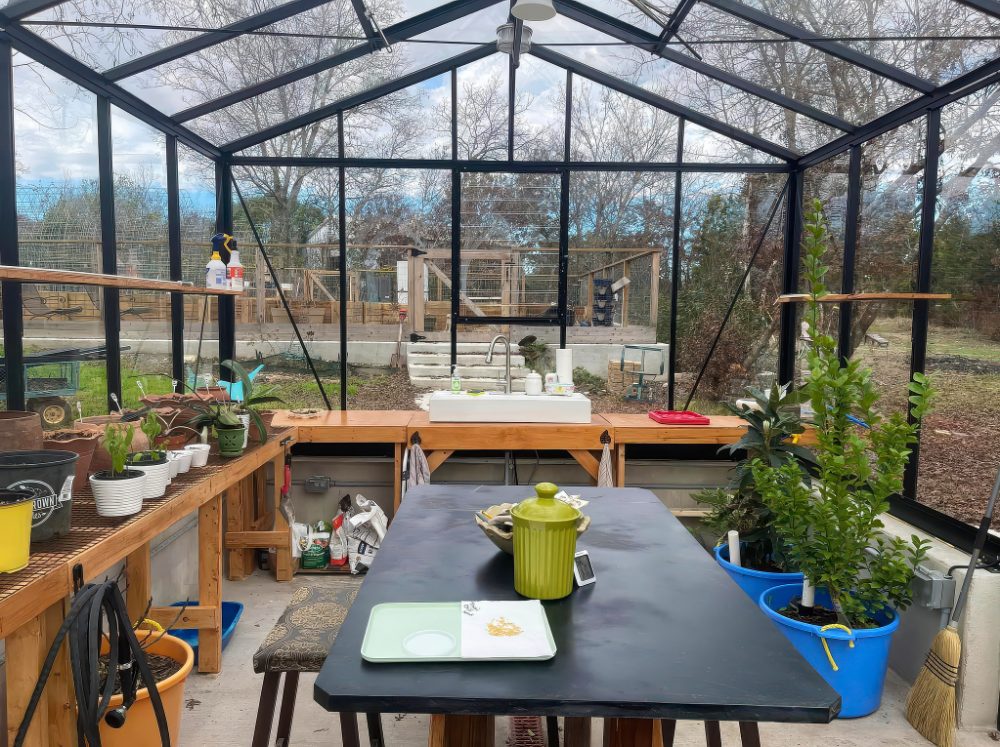 Greenhouse interior with shelves holding potted plants to the left, a table in the center and potting station with a sink in the back.