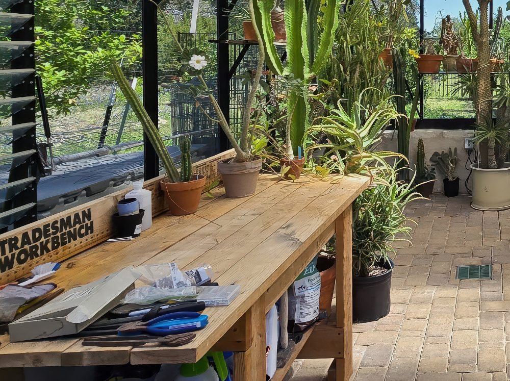 Potting station inside of greenhouse with a few potted plants and tools.