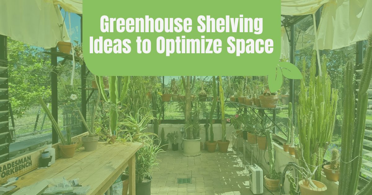 The interior of a greenhouse with a potting station to the right and hanging shelves to the right filled with potted cacti. It reads "Greenhouse Shelving Ideas to Optimize Space"