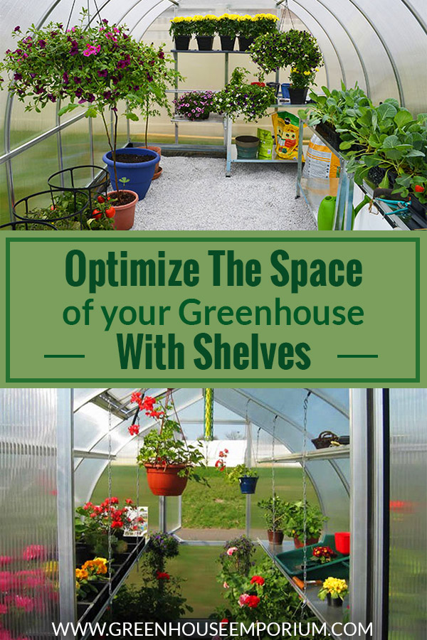 Interiors of two greenhouses with shelves and plants with the text: Optimize the space of your greenhouse with shelves