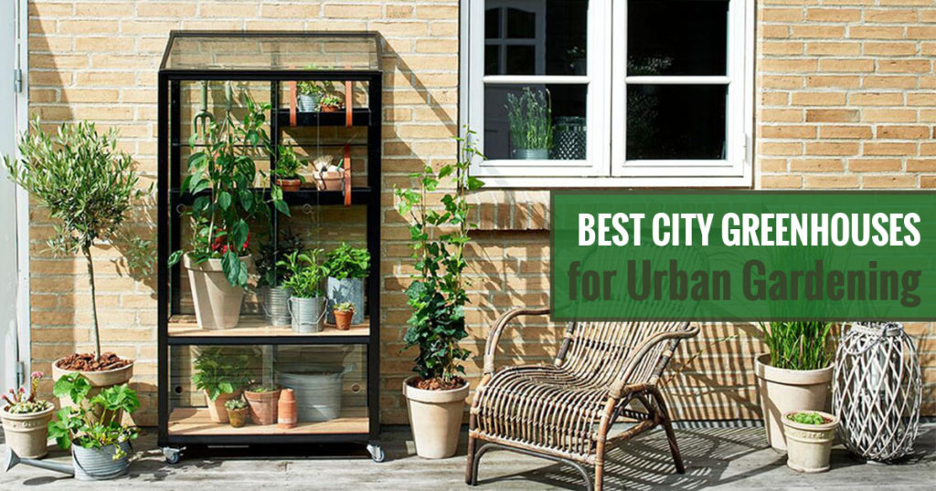 Best city greenhouses for urban gardening