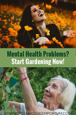 How Gardening Can Improve Your Mental Health | Greenhouse Emporium