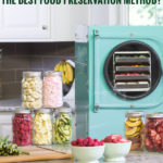 Blue Freeze-Dryer with freeze-dried food on the counter and the text: Is Freeze-Drying The Best Food Preservation Method?