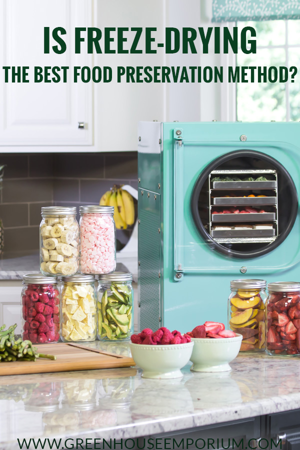 Best Freeze Dryer freeze dehydrator Machine for sale