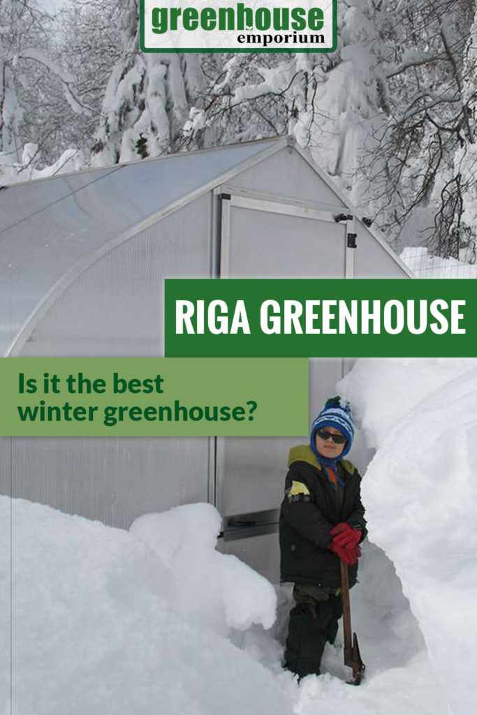 Gothic arch shaped greenhouse with loads of snow around and the text: Riga Greenhouse - Is it the best winter greenhouse?