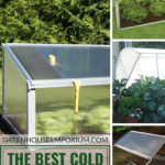 Varieties of plants and flowers inside open cold frames with the text: Best Cold Frames for Extending Seasons.