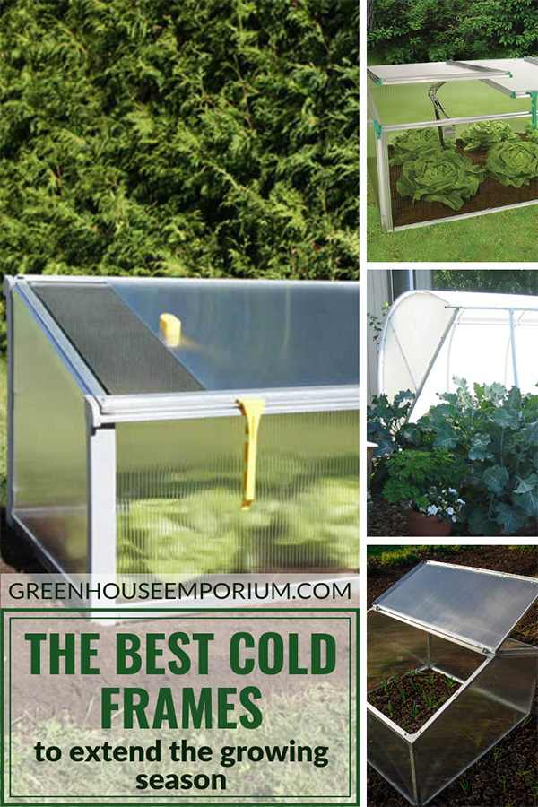 Varieties of plants and flowers inside open cold frames with the text: Best Cold Frames for Extending Seasons.