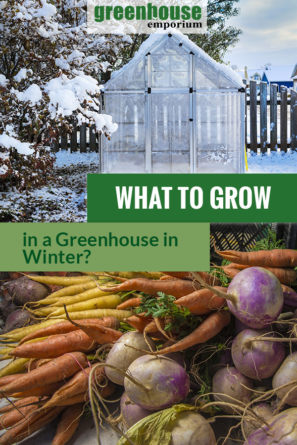 Greenhouse Gardening in Winter What Plants To Grow in the Cold Season