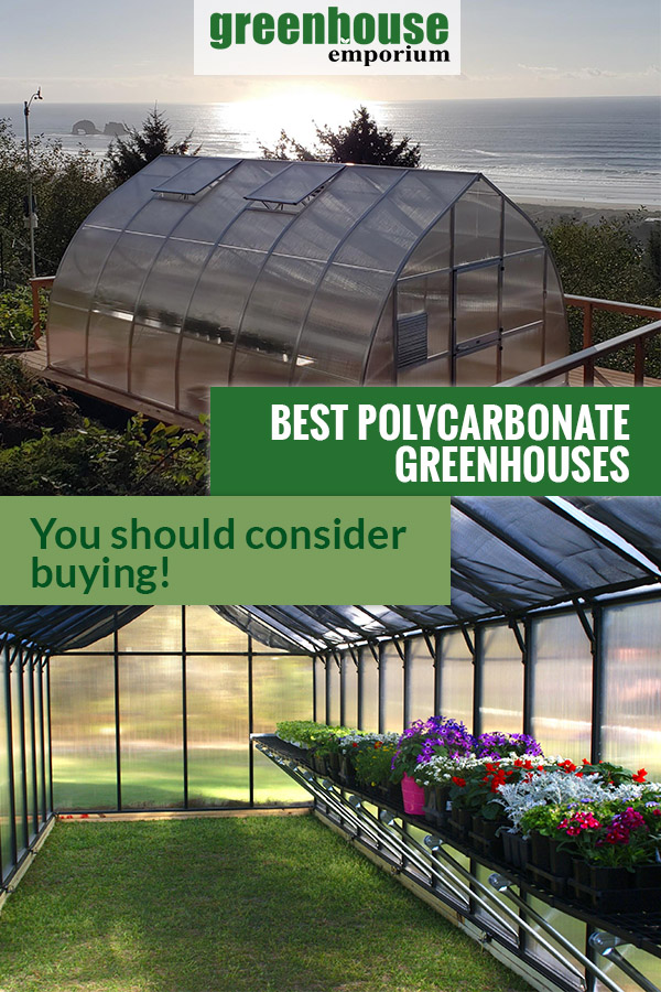 Gothic arch greenhouse at the top and interior of a polycarbonate greenhouse at the bottom with the text in the middle: Best Polycarbonate Greenhouses -You should consider buying!