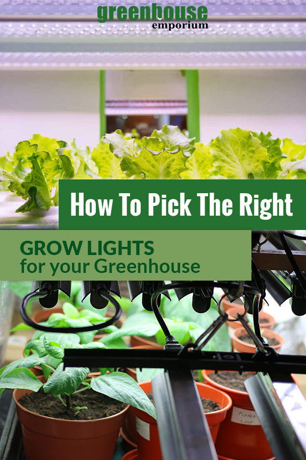 Grow Lights above plants with the text: How to pick the right Grow Lights for your Greenhouse