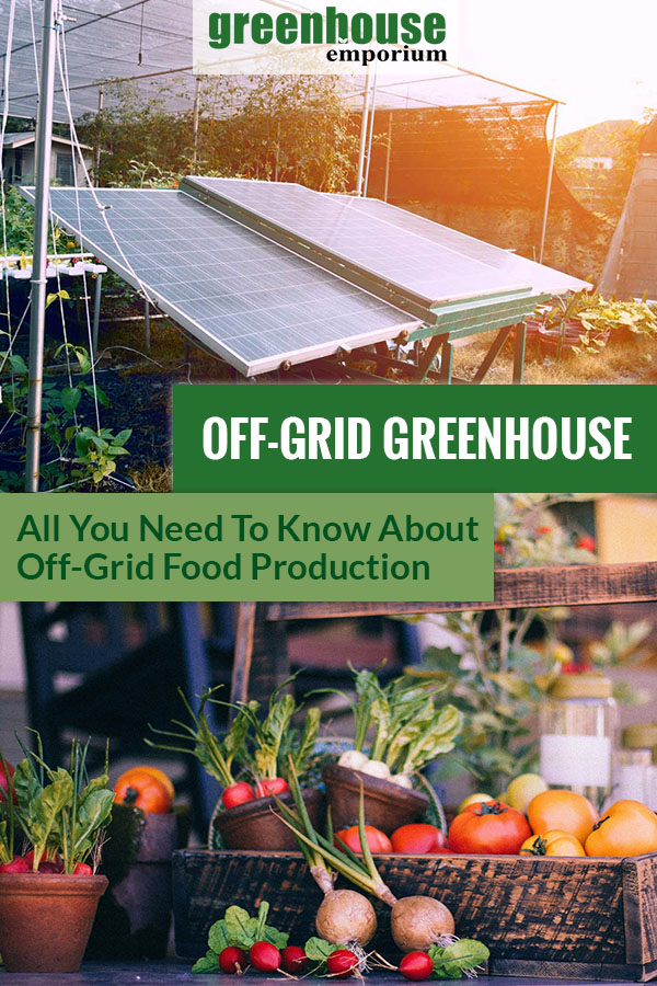 Solar panels in a garden and a photo of veggies in a basket with the text: Off-Grid Greenhouse - All you need to know about off-grid food production