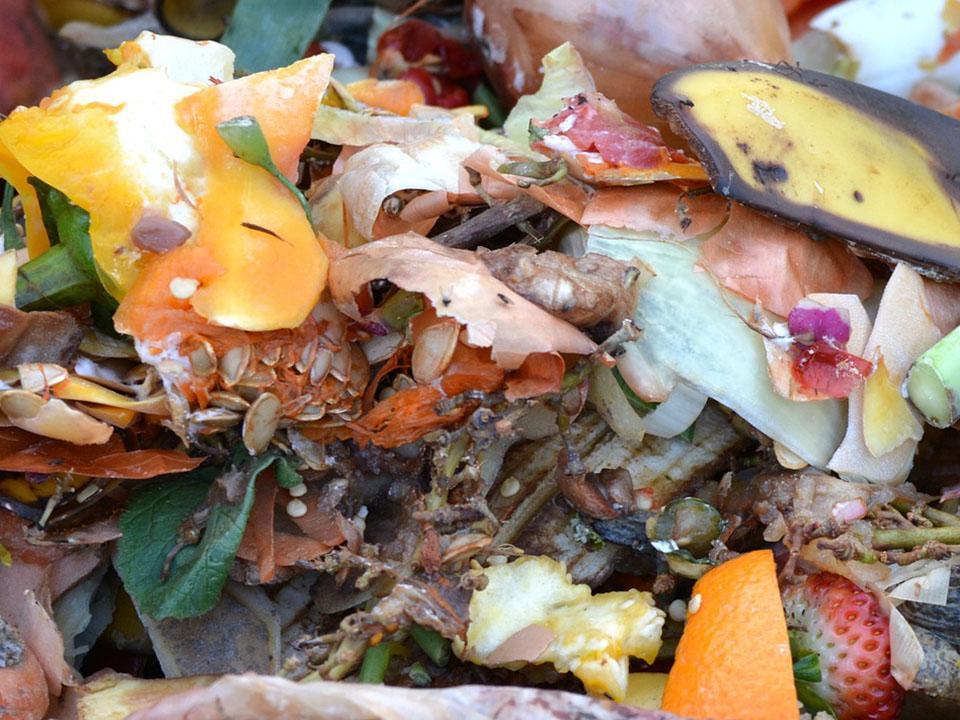 Composting mix with food scraps and leaves and wood cuttings