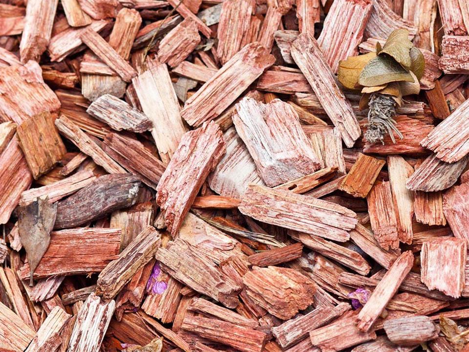 Brown Wood chips used as mulch