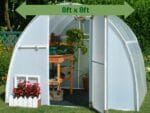 Solexx  8ft x 8ft Early Bloomer Greenhouse G-108 - front view - open door with plants and flowers