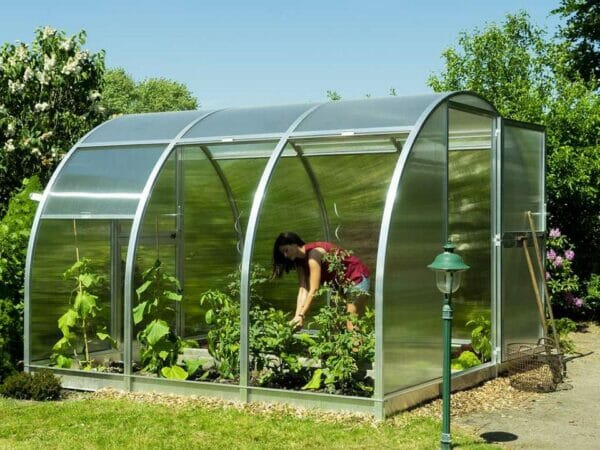 Side view of Arcus 3 Greenhouse - front door fully opened - three open sections of side walls with a woman gardening inside