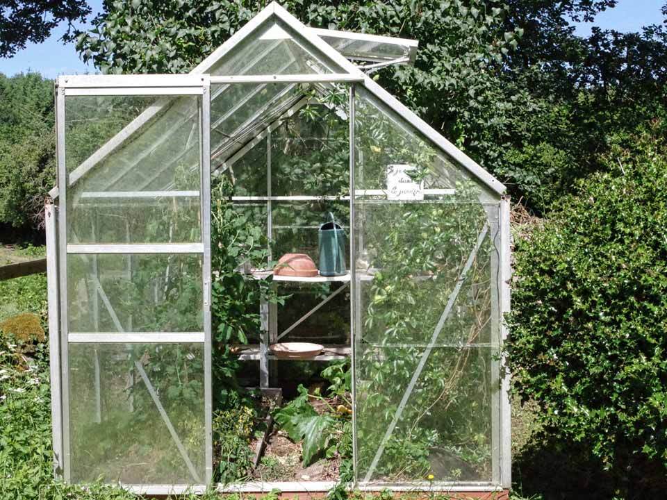 unkempt glass greenhouse