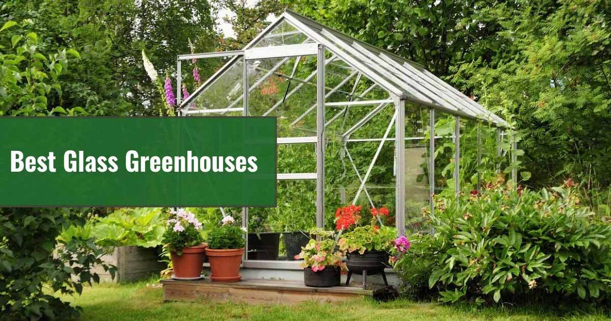best glass greenhouse in garden