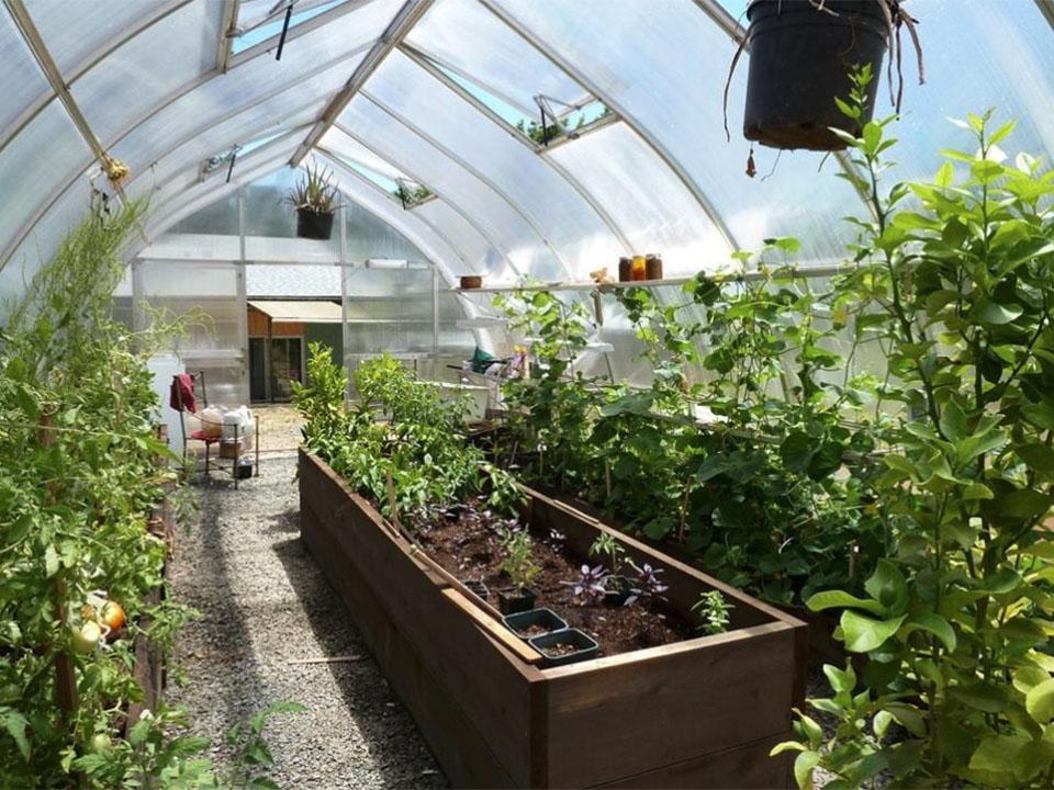 Hoklartherm Riga XL 5 Polycarbonate Greenhouse interior view with plants inside