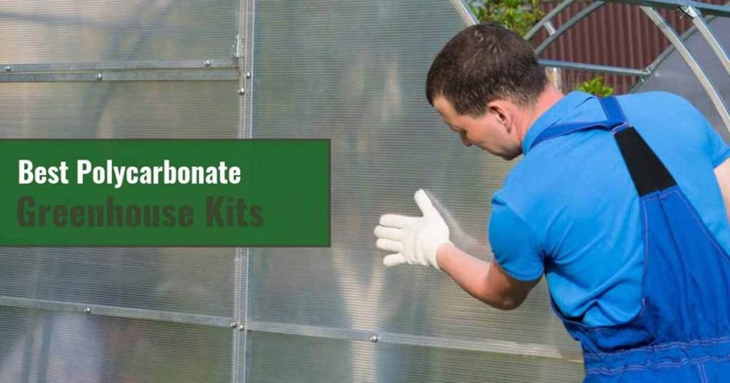 Best Polycarbonate Greenhouse Kits Greenhouse Emporium