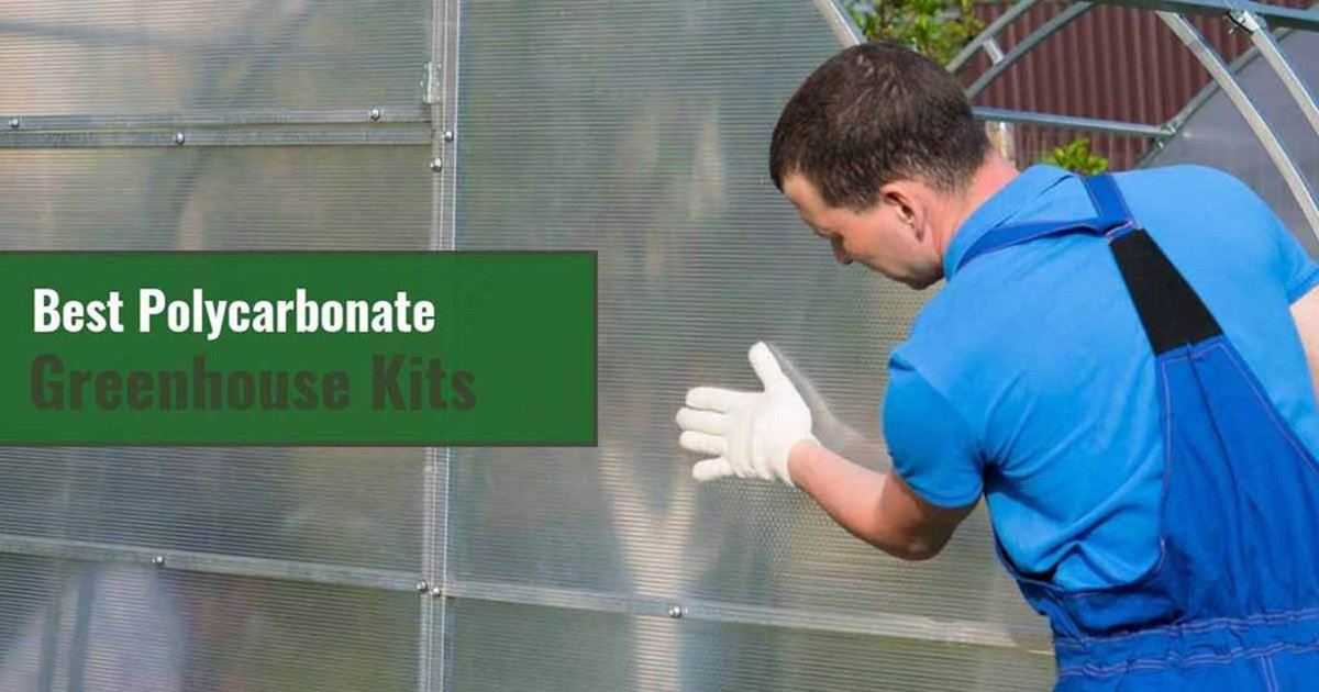 A man installing Polycarbonate panels on a greenhouse with texts on the left side green box: Best Polycarbonate Greenhouse Kits