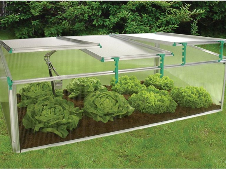 The Best Cold Frames for Extending Seasons & YearRound Gardening