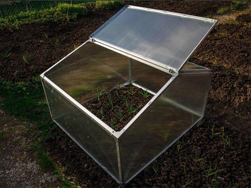Delta Park Gable Roof Cold Frame with plants and seedlings inside