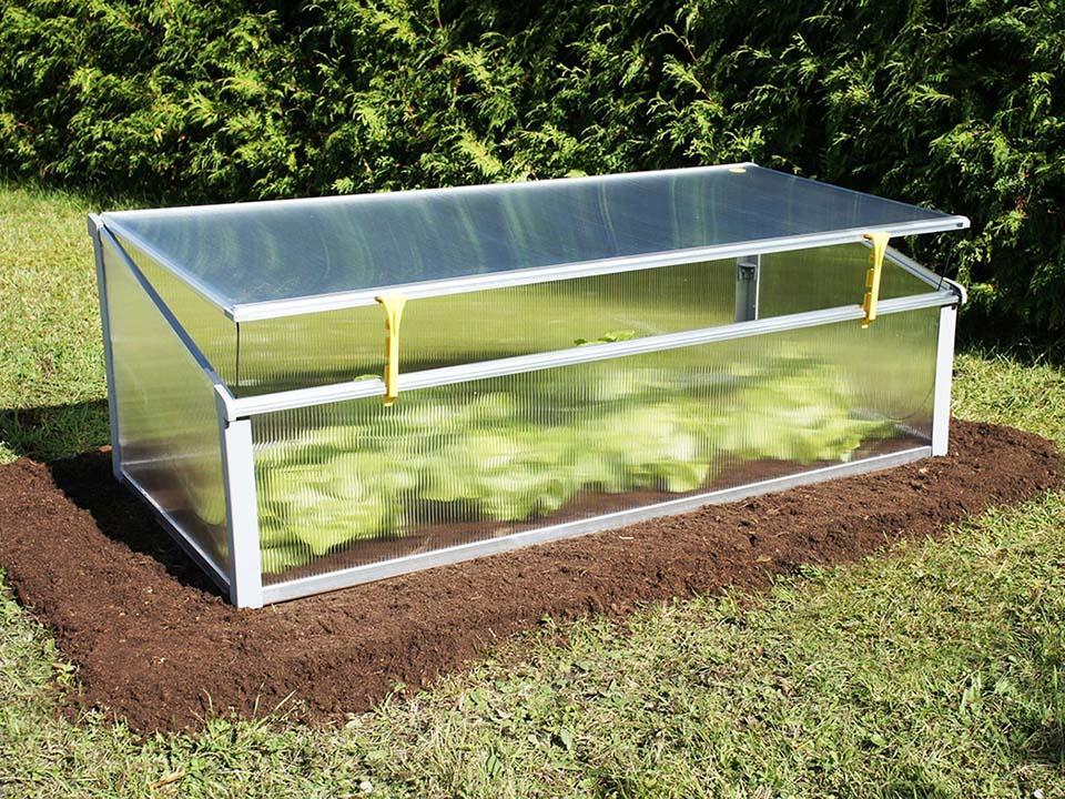 A slightly opened cold frame with plants inside
