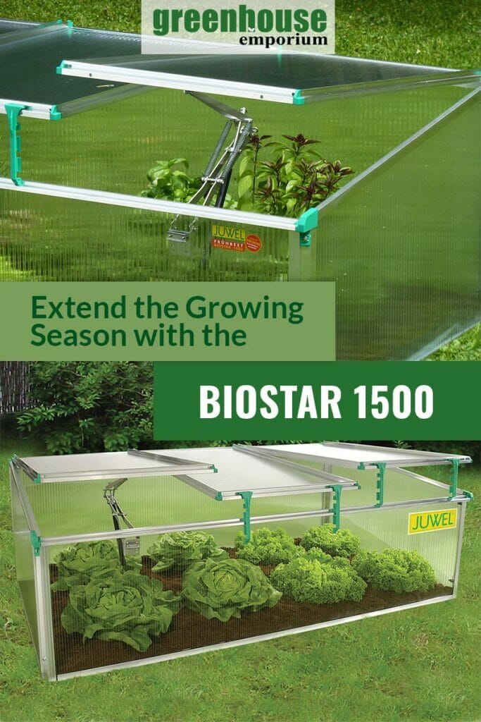 Cold frame with lid that is divided in 3 sections and the text: Extend your growing season with the BioStar 1500