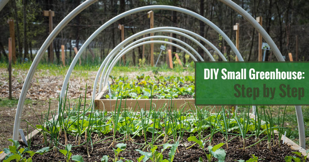 DIY Small Greenhouse: Step by Step