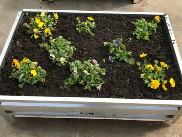 Delta Park Raised Garden Kit with plants