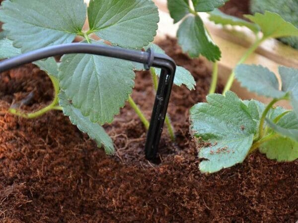 Drip Irrigation Kit with close up caption for Hobby Greenhouse kits