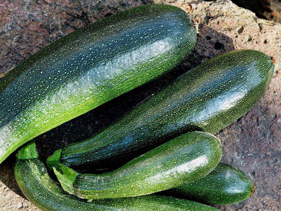 Four pieces of Courgettes laid on a ground